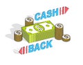 Cash Back concept, cash money dollar stacks and cent coins piles with lettering isolated on white background. 3d vector business Royalty Free Stock Photo