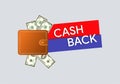Cash back flyer. Shopping offer. Money return profit. Business discount poster. Wallet with money. Vector illustration.