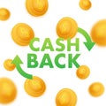 Cash back icon isolated on white background. Cash back or money refund label. Vector illustration. Royalty Free Stock Photo