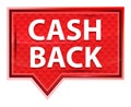 Cash Back misty rose pink banner button