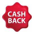 Cash Back misty rose red starburst sticker button