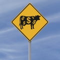 Cash Cow Ahead Royalty Free Stock Photo