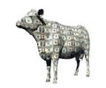 CASH COW SAVING RETIREMENT FINANCIAL PLANNING WEALTH MANAGEMENT INVESTMENT FUND CAPITAL GROWTH STOCK