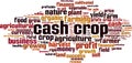 Cash crop word cloud Royalty Free Stock Photo