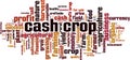 Cash crop word cloud Royalty Free Stock Photo