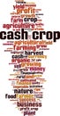 Cash crop word cloud Royalty Free Stock Photo