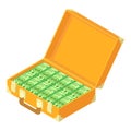 Cash dollars case icon, isometric style