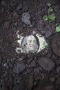 Cash grew from dirt Royalty Free Stock Photo