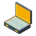 Cash inheritance icon, isometric style