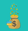 Cash money in sack. Cashback icon. Gold dollar coins in bag. Offer of save, refund money. Treasure or trophy sign. Banner of Royalty Free Stock Photo