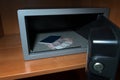 Cash Money Safe Deposit. Small Residential Vault with Cash Money and passport. Closeup Photo Royalty Free Stock Photo