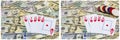 Cash poker cards gambler chips collage Royalty Free Stock Photo