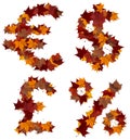 Cash symbols fall leaf composition isolated Royalty Free Stock Photo