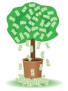 Cash tree