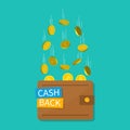 Cashback in wallet. Cash money back. Bitcoin, blockchain, crypto tags for pay in app. Refund and saving money concept. Credit,