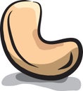 Cashew Royalty Free Stock Photo