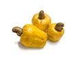 Cashew,Anacardium Occidentale ,Fruit