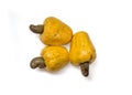 Cashew,Anacardium Occidentale ,Fruit