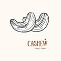 Cashew Card Hand Draw Sketch. Vector