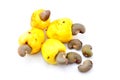 Cashew fruit Royalty Free Stock Photo