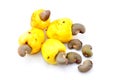 Cashew fruit