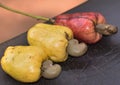 Cashew fruit or color fruit in india Royalty Free Stock Photo