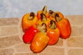 Cashew fruits