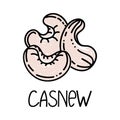 Cashew, hand-drawn doodle style element. Logo and emblem packaging design template - spices and herbs - cashew nut. Logo