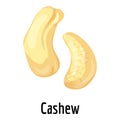 Cashew icon, cartoon style