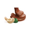 Cashew with liquid chocolate Royalty Free Stock Photo