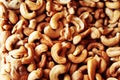 Cashew nut of Amazon