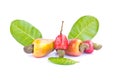 Cashew nut fruit Royalty Free Stock Photo