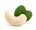 Cashew nut with leaf isolated on white background. macro Royalty Free Stock Photo
