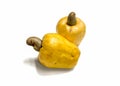 Cashew,Anacardium Occidentale ,Fruit