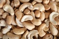 Cashew nuts Royalty Free Stock Photo