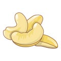 Cashew nuts icon, cartoon style