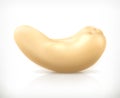 Cashew nuts icon