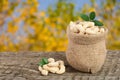 Cashew nuts with leaf in bag on a wooden table with blurred garden background Royalty Free Stock Photo