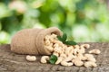 Cashew nuts with leaf in bag on a wooden table with blurred garden background Royalty Free Stock Photo
