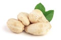 Cashew nuts with leaf isolated on white background. macro Royalty Free Stock Photo