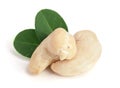Cashew nuts with leaf isolated on white background. macro Royalty Free Stock Photo
