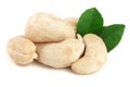Cashew nuts with leaf isolated on white background. macro Royalty Free Stock Photo