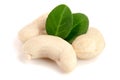 Cashew nuts with leaf isolated on white background. macro Royalty Free Stock Photo