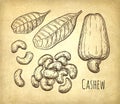 Cashew sketch set.