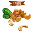 Cashew, watercolor illustration, clipping path included