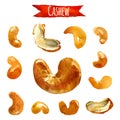 Cashew, watercolor illustration, clipping path included