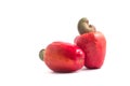 Cashews or Caju Fruit