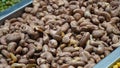 Cashews fried in shell, unsalted cashew nuts for sale in local market