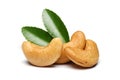 Cashews and leaves