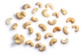 Cashews seeds of A. occidentale, top, paths